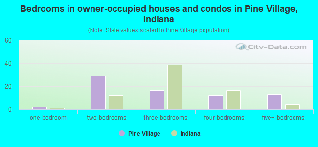 Bedrooms in owner-occupied houses and condos in Pine Village, Indiana