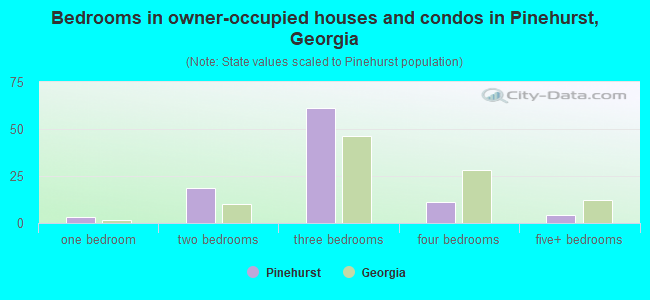 Bedrooms in owner-occupied houses and condos in Pinehurst, Georgia