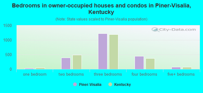 Bedrooms in owner-occupied houses and condos in Piner-Visalia, Kentucky