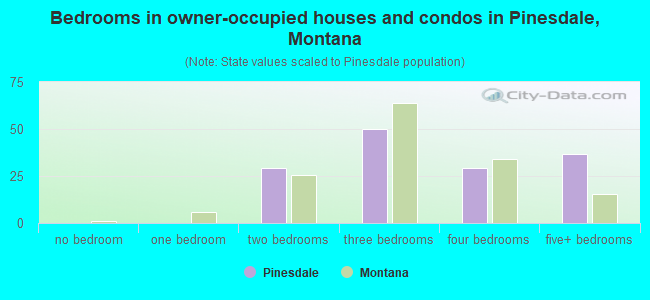 Bedrooms in owner-occupied houses and condos in Pinesdale, Montana