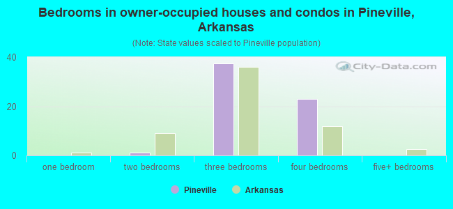 Bedrooms in owner-occupied houses and condos in Pineville, Arkansas