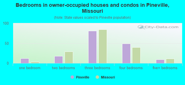Bedrooms in owner-occupied houses and condos in Pineville, Missouri