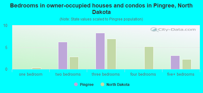 Bedrooms in owner-occupied houses and condos in Pingree, North Dakota
