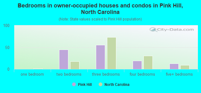 Bedrooms in owner-occupied houses and condos in Pink Hill, North Carolina