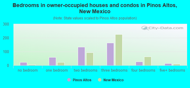 Bedrooms in owner-occupied houses and condos in Pinos Altos, New Mexico