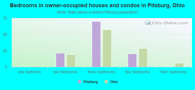 Bedrooms in owner-occupied houses and condos in Pitsburg, Ohio
