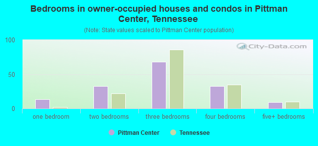 Bedrooms in owner-occupied houses and condos in Pittman Center, Tennessee