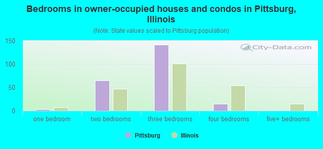 Bedrooms in owner-occupied houses and condos in Pittsburg, Illinois