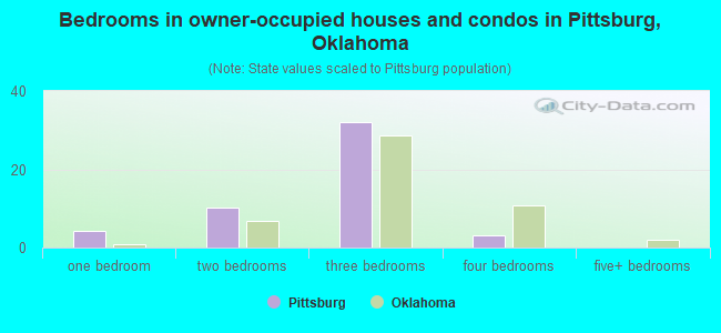 Bedrooms in owner-occupied houses and condos in Pittsburg, Oklahoma