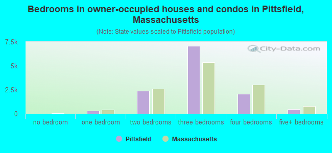Bedrooms in owner-occupied houses and condos in Pittsfield, Massachusetts