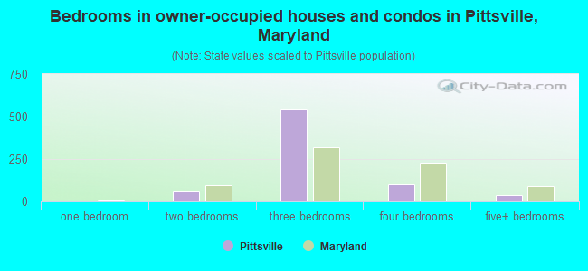 Bedrooms in owner-occupied houses and condos in Pittsville, Maryland