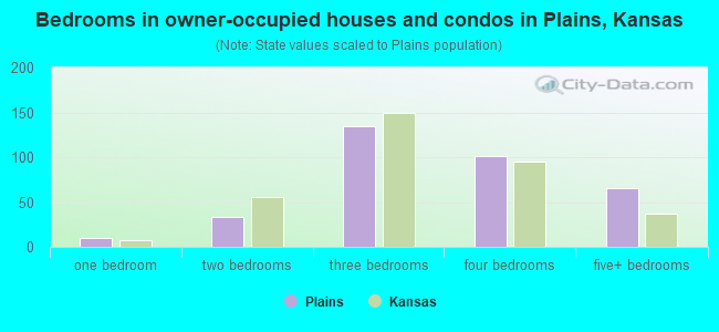 Bedrooms in owner-occupied houses and condos in Plains, Kansas