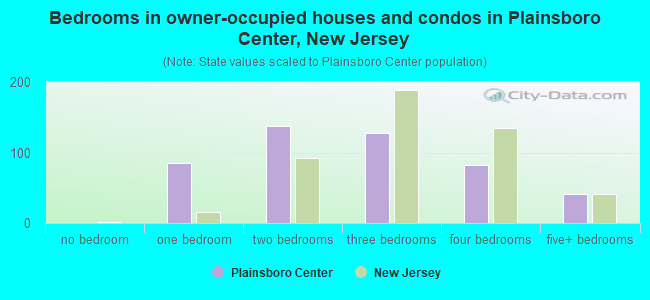 Bedrooms in owner-occupied houses and condos in Plainsboro Center, New Jersey