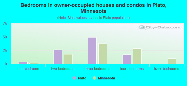 Bedrooms in owner-occupied houses and condos in Plato, Minnesota