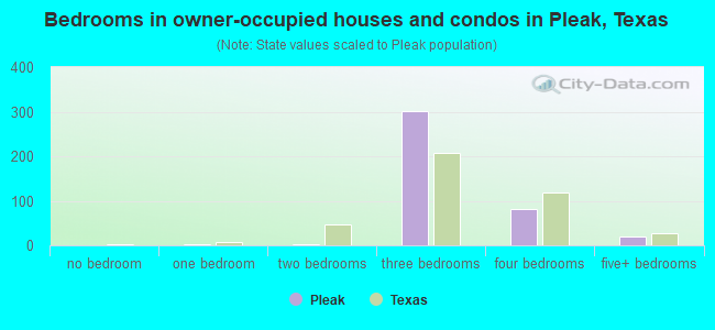 Bedrooms in owner-occupied houses and condos in Pleak, Texas