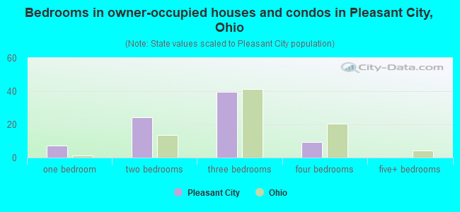 Bedrooms in owner-occupied houses and condos in Pleasant City, Ohio