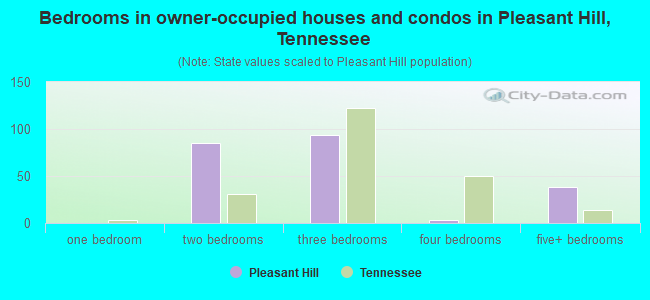Bedrooms in owner-occupied houses and condos in Pleasant Hill, Tennessee