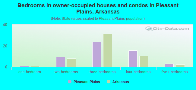 Bedrooms in owner-occupied houses and condos in Pleasant Plains, Arkansas