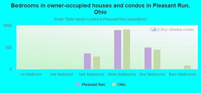 Bedrooms in owner-occupied houses and condos in Pleasant Run, Ohio