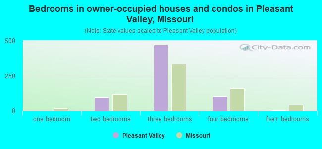 Bedrooms in owner-occupied houses and condos in Pleasant Valley, Missouri