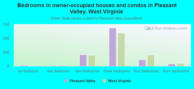 Bedrooms in owner-occupied houses and condos in Pleasant Valley, West Virginia