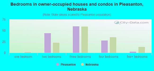 Bedrooms in owner-occupied houses and condos in Pleasanton, Nebraska