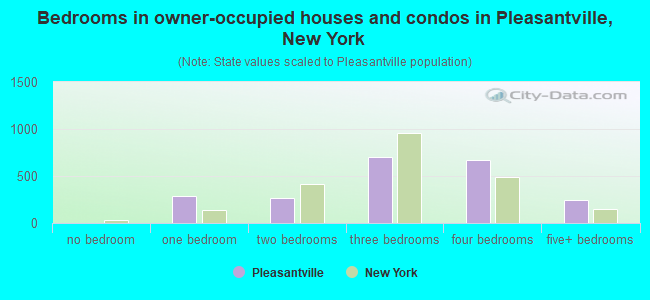 Bedrooms in owner-occupied houses and condos in Pleasantville, New York