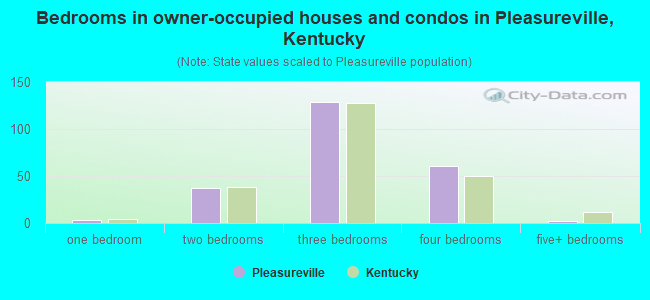 Bedrooms in owner-occupied houses and condos in Pleasureville, Kentucky