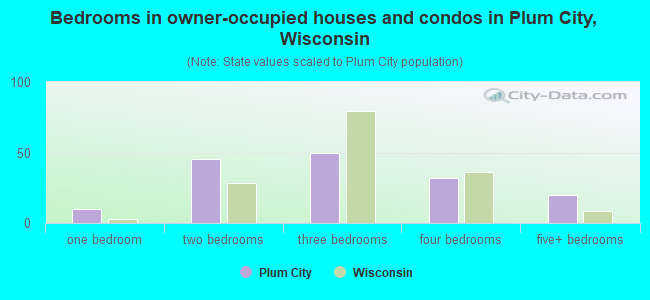 Bedrooms in owner-occupied houses and condos in Plum City, Wisconsin