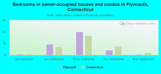 Bedrooms in owner-occupied houses and condos in Plymouth, Connecticut