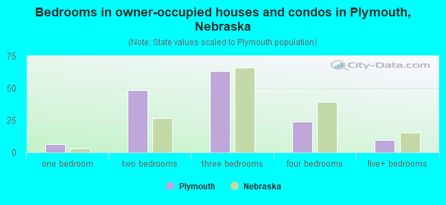 Bedrooms in owner-occupied houses and condos in Plymouth, Nebraska