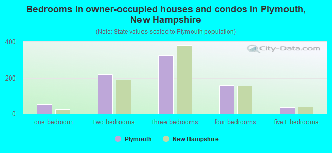 Bedrooms in owner-occupied houses and condos in Plymouth, New Hampshire