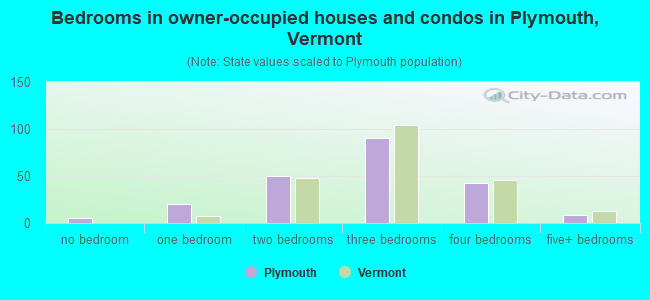 Bedrooms in owner-occupied houses and condos in Plymouth, Vermont