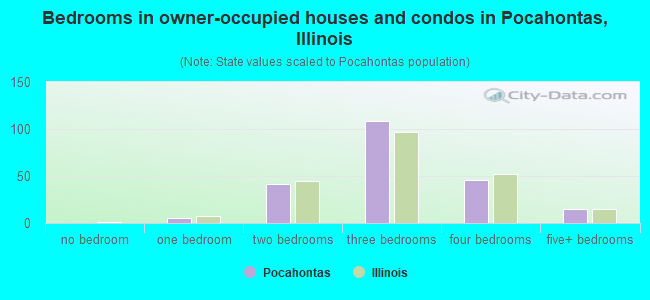 Bedrooms in owner-occupied houses and condos in Pocahontas, Illinois