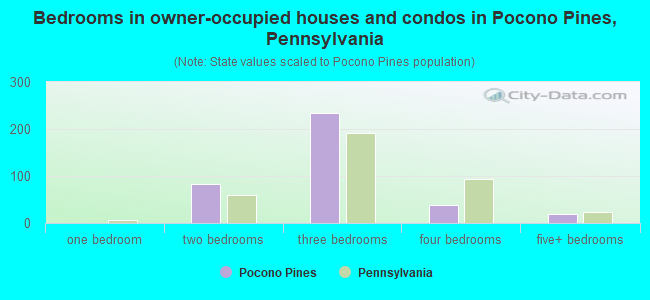 Bedrooms in owner-occupied houses and condos in Pocono Pines, Pennsylvania
