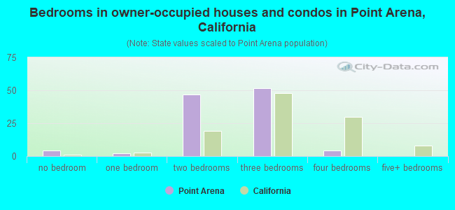 Bedrooms in owner-occupied houses and condos in Point Arena, California