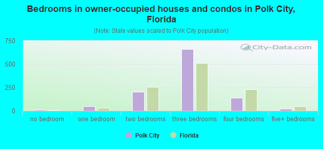 Bedrooms in owner-occupied houses and condos in Polk City, Florida