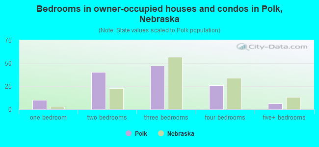 Bedrooms in owner-occupied houses and condos in Polk, Nebraska