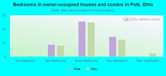 Bedrooms in owner-occupied houses and condos in Polk, Ohio