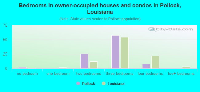 Bedrooms in owner-occupied houses and condos in Pollock, Louisiana