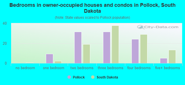 Bedrooms in owner-occupied houses and condos in Pollock, South Dakota
