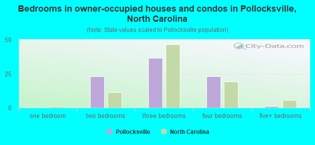 Bedrooms in owner-occupied houses and condos in Pollocksville, North Carolina