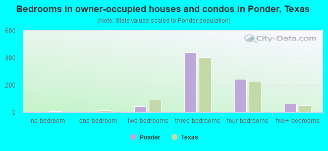 Bedrooms in owner-occupied houses and condos in Ponder, Texas