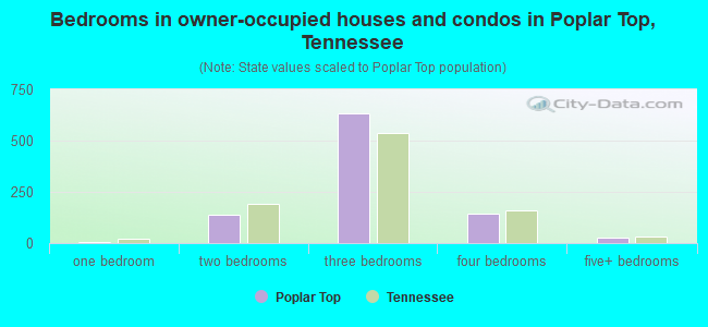 Bedrooms in owner-occupied houses and condos in Poplar Top, Tennessee