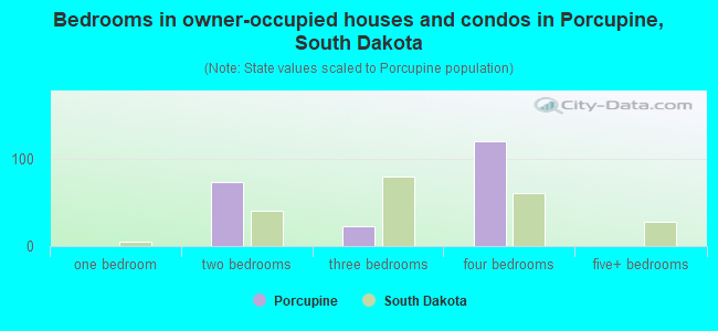 Bedrooms in owner-occupied houses and condos in Porcupine, South Dakota