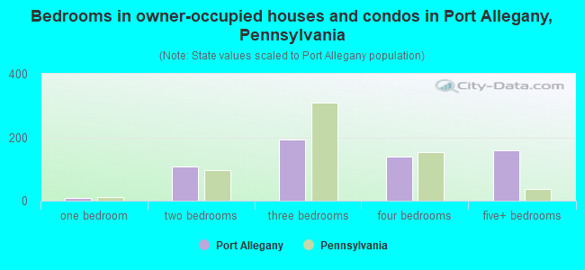 Bedrooms in owner-occupied houses and condos in Port Allegany, Pennsylvania