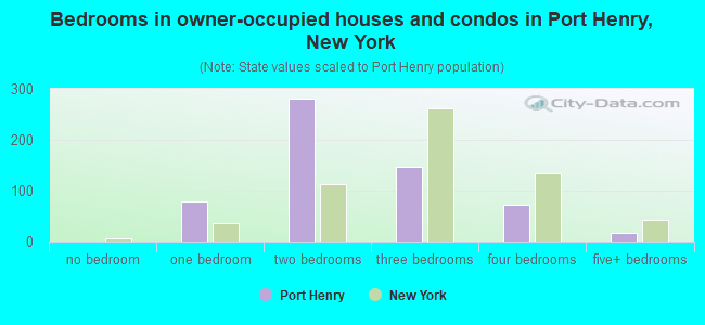 Bedrooms in owner-occupied houses and condos in Port Henry, New York