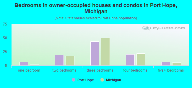 Bedrooms in owner-occupied houses and condos in Port Hope, Michigan
