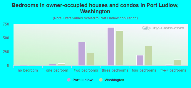 Bedrooms in owner-occupied houses and condos in Port Ludlow, Washington