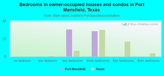 Bedrooms in owner-occupied houses and condos in Port Mansfield, Texas